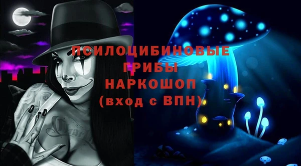 прущие грибы Волоколамск
