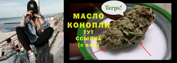 прущие грибы Волоколамск