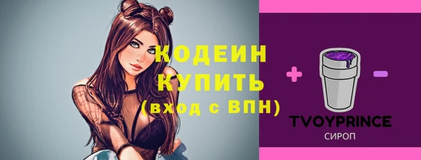 прущие грибы Волоколамск