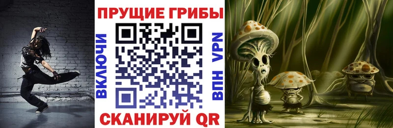 Галлюциногенные грибы прущие грибы Верея
